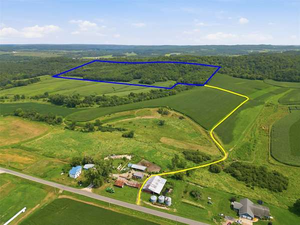 40 Acres of Land for Sale in Taylor, Wisconsin