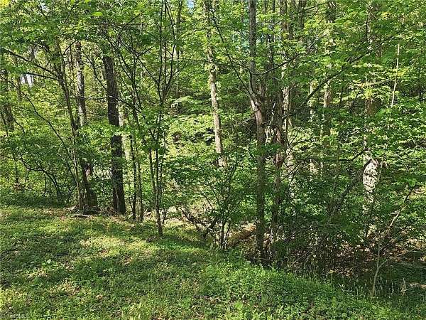 0.58 Acres of Residential Land for Sale in Wilkesboro, North Carolina