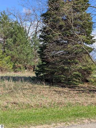 0.29 Acres of Residential Land for Sale in Lake Isabella, Michigan