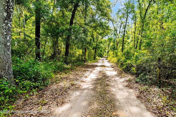4 Acres of Residential Land for Sale in Brooksville, Florida