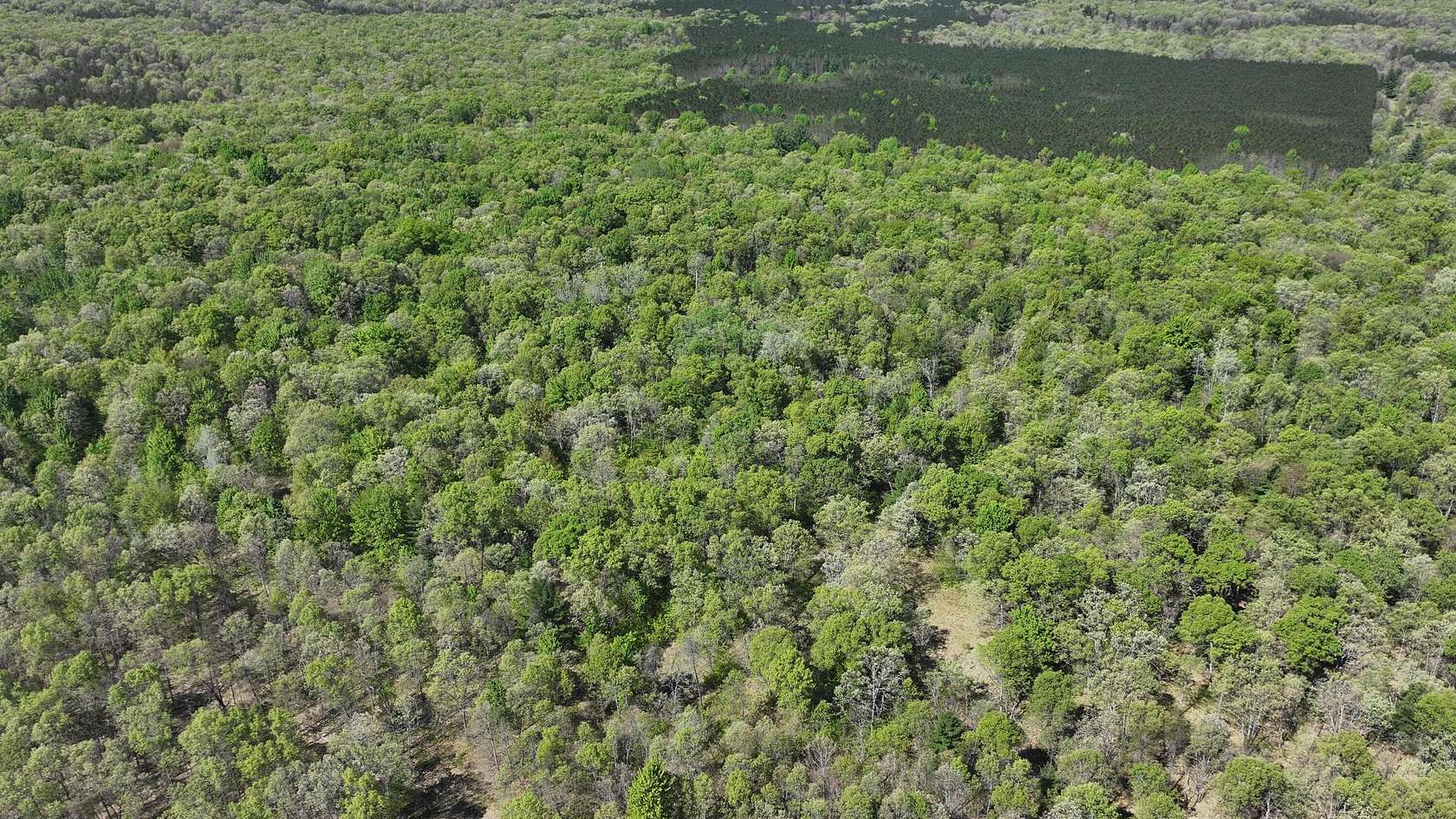 10 Acres of Recreational Land for Sale in Free Soil, Michigan