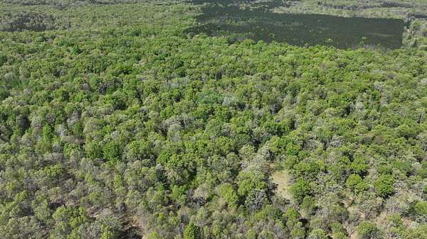10 Acres of Recreational Land for Sale in Free Soil, Michigan