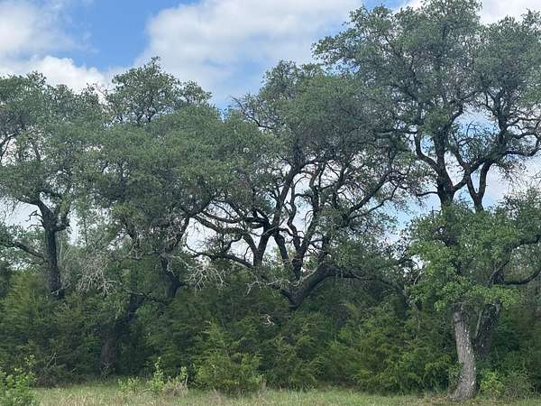 12 Acres of Land for Sale in Briggs, Texas