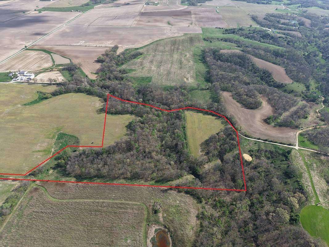 29 Acres of Land for Sale in Pearl, Illinois