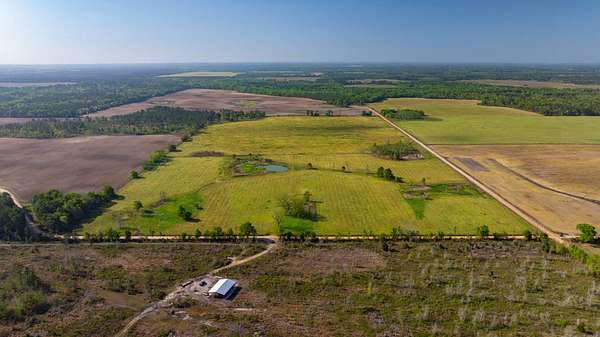 109 Acres of Land for Auction in Oakfield, Georgia