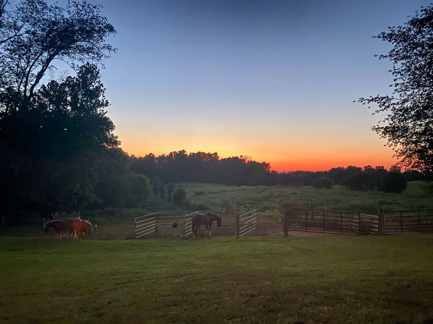 6 Acres of Land with Home for Sale in Springfield, Tennessee