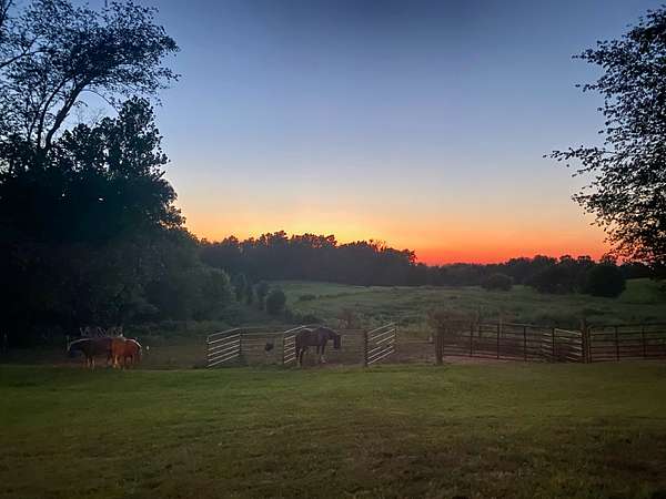 6 Acres of Land with Home for Sale in Springfield, Tennessee