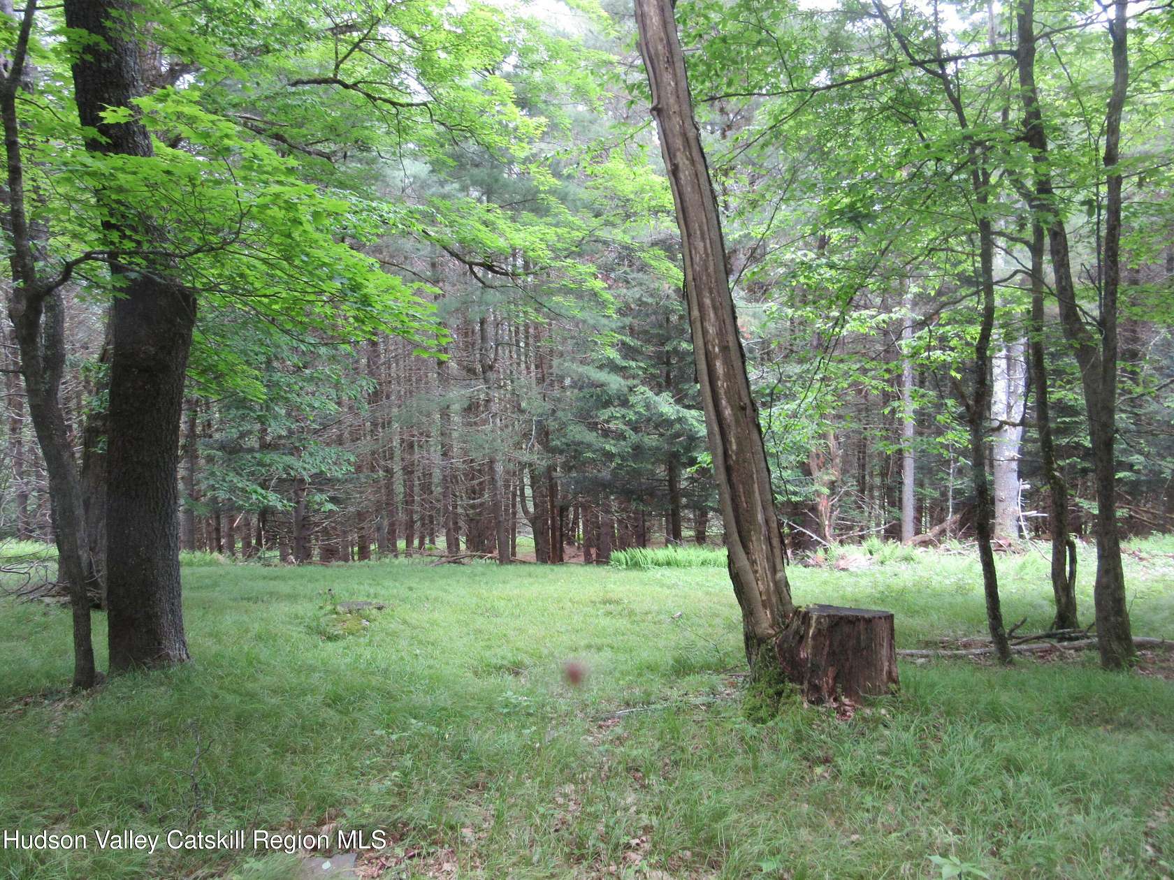 15 Acres of Land for Sale in Lexington, New York