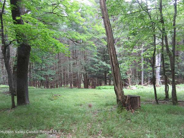 15 Acres of Land for Sale in Lexington, New York