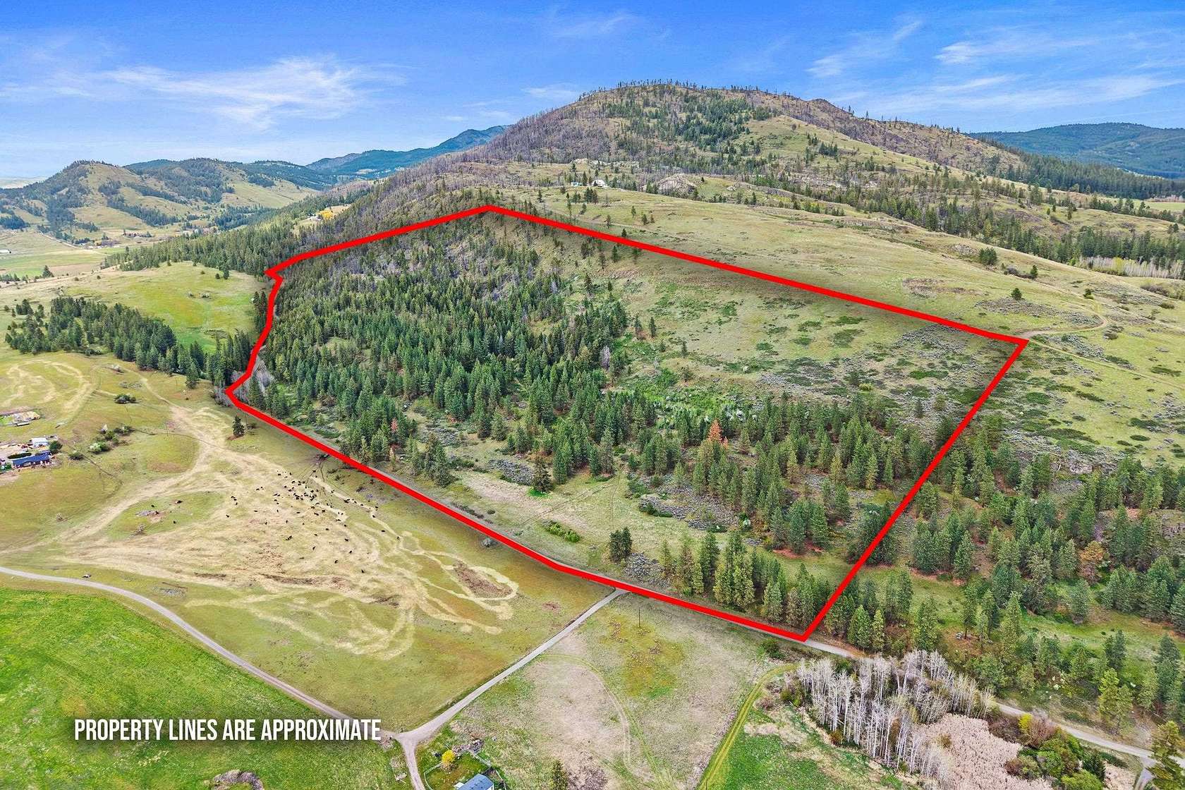 96.7 Acres of Recreational & Residential Land for Sale in Rice, Washington