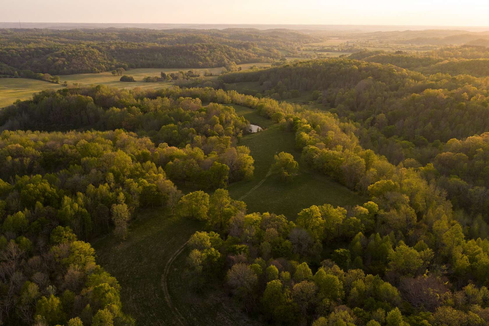 239 Acres of Agricultural Land for Sale in Pulaski, Tennessee