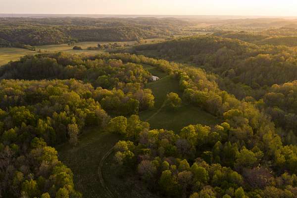 239 Acres of Agricultural Land for Sale in Pulaski, Tennessee