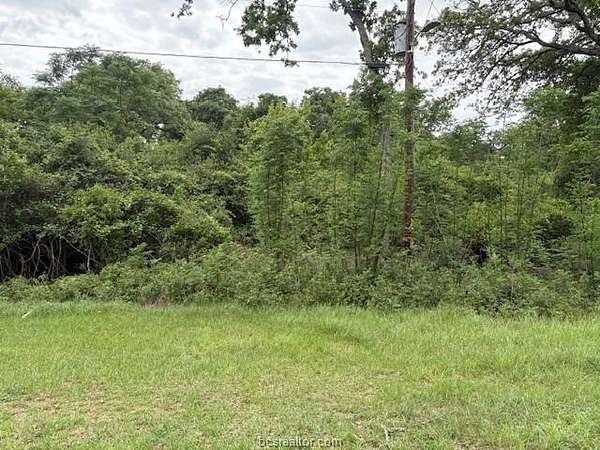 0.21 Acres of Mixed-Use Land for Sale in Normangee, Texas