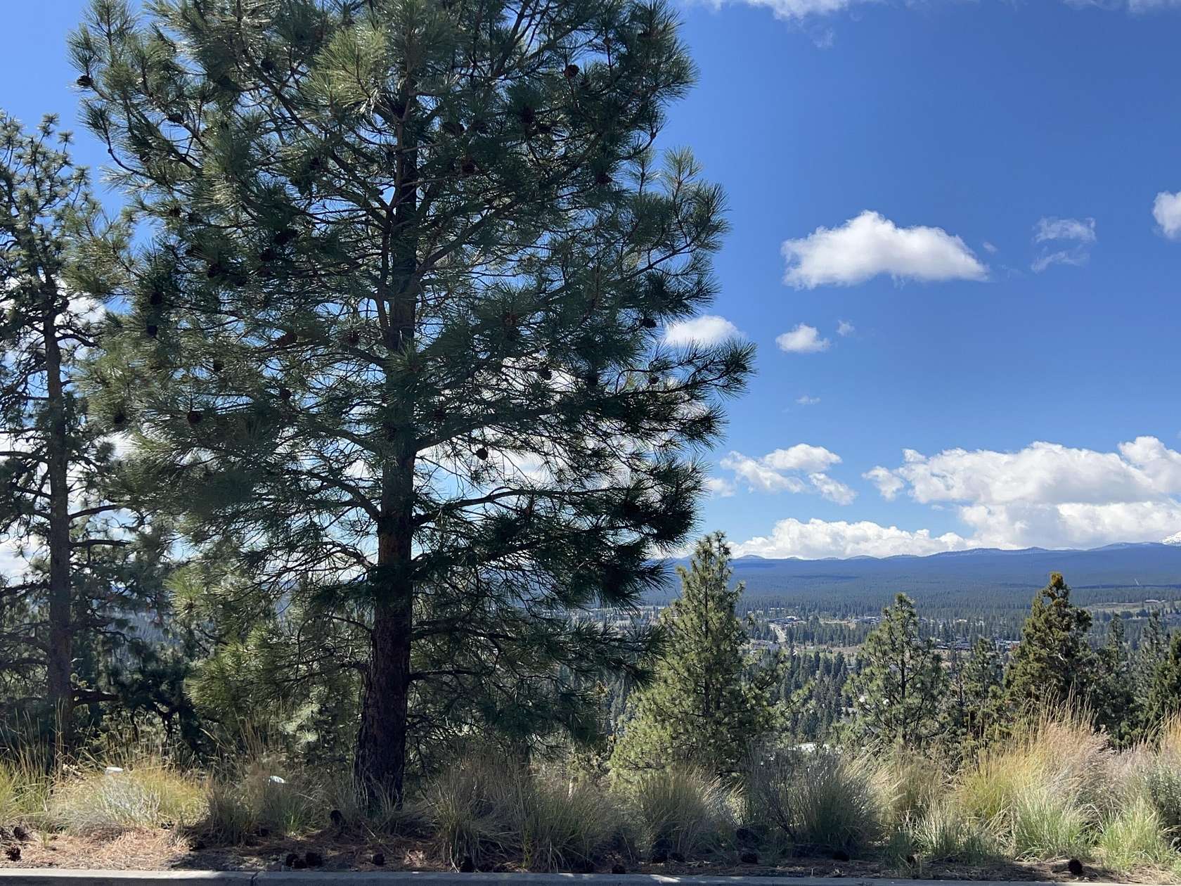 0.29 Acres of Land for Sale in Bend, Oregon