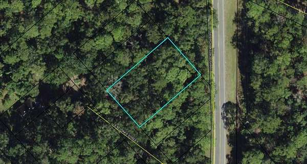 0.36 Acres of Land for Sale in Crawfordville, Florida