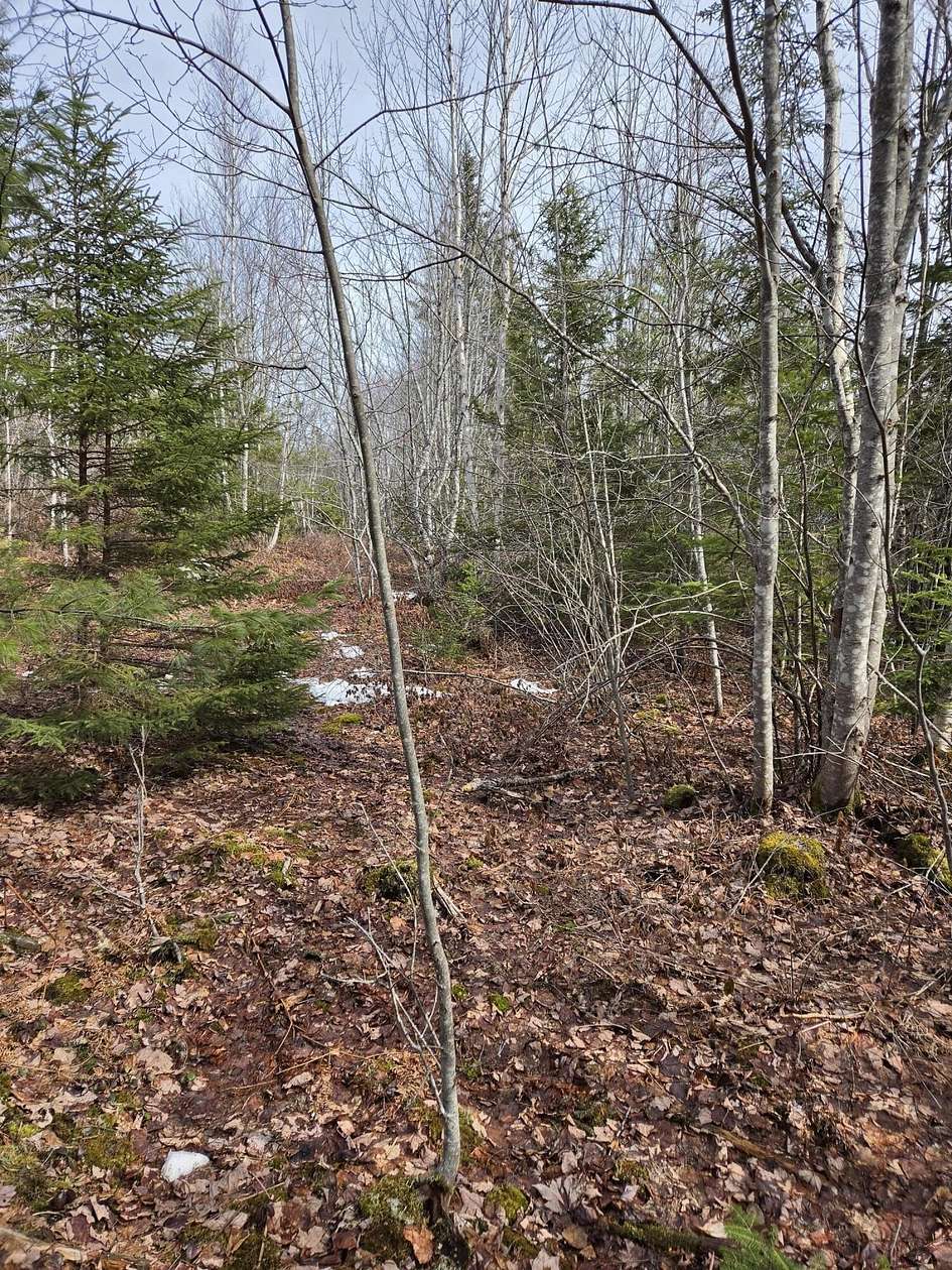 10 Acres of Recreational & Residential Land for Sale in Marshfield, Maine