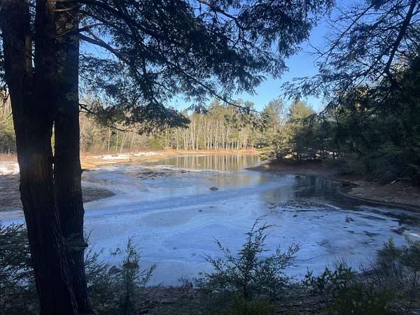 5.72 Acres of Residential Land for Sale in Waltham, Maine