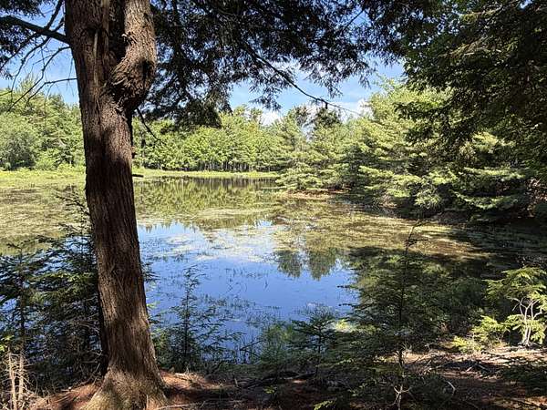 5.72 Acres of Residential Land for Sale in Waltham, Maine