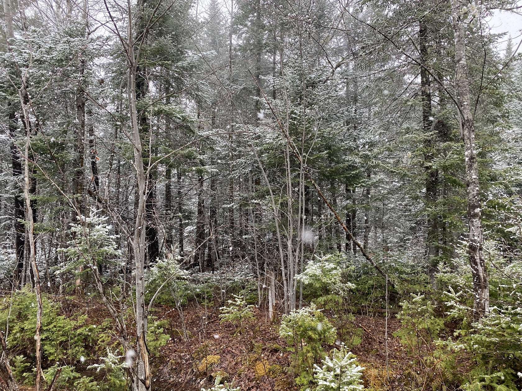 500 Acres of Recreational Land for Sale in Cary, Maine