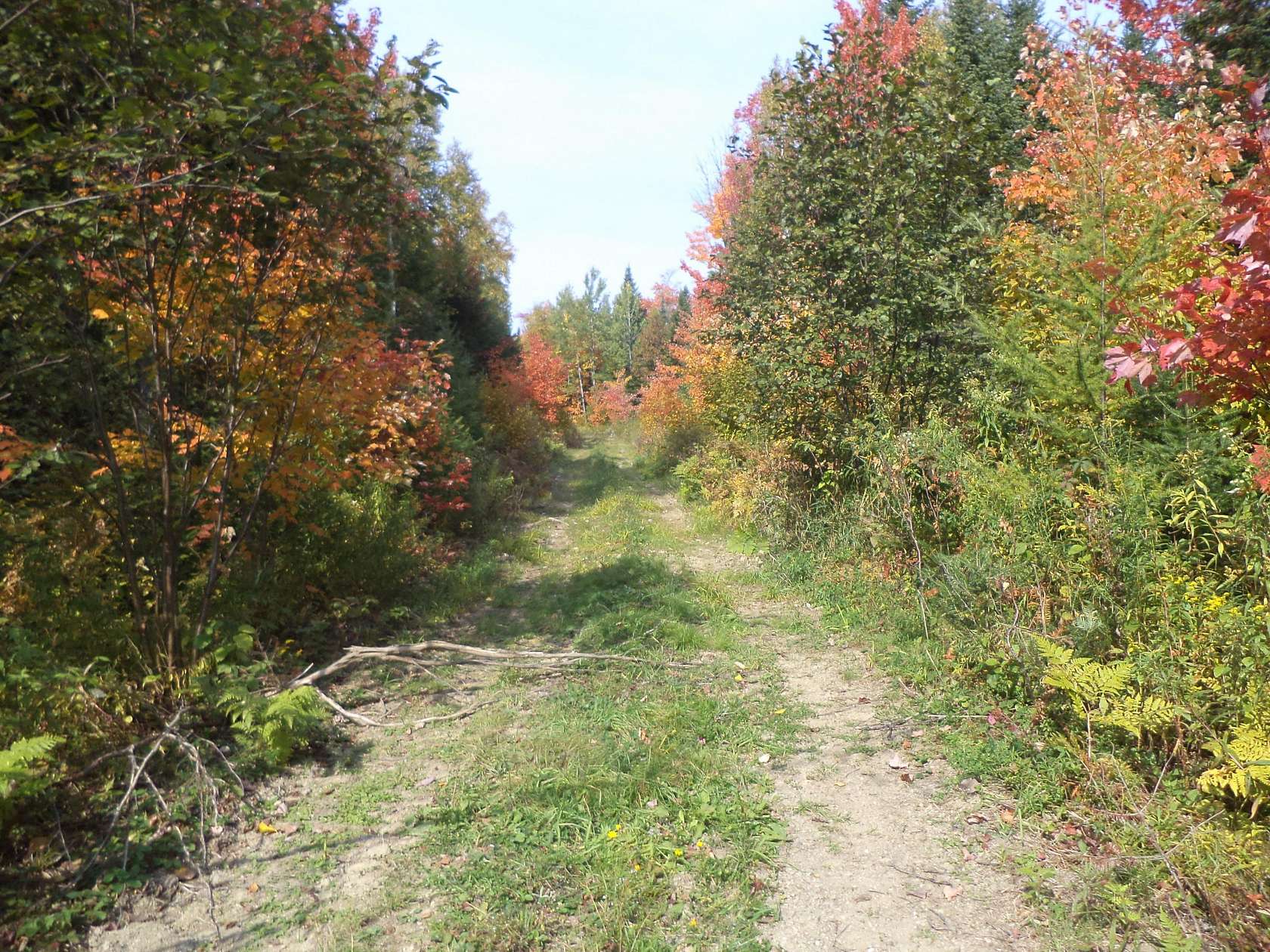 500 Acres of Land for Sale in Cary, Maine