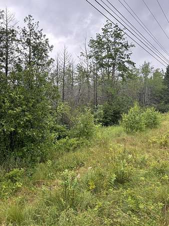 77 Acres of Recreational & Residential Land for Sale in Cherryfield, Maine