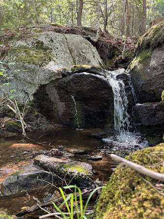 17.6 Acres of Land for Sale in Aurora, Maine