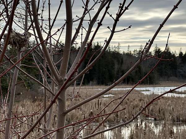 2.65 Acres of Land for Sale in Saint George, Maine