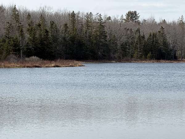 25 Acres of Recreational & Residential Land for Sale in Gouldsboro, Maine
