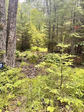 30 Acres of Recreational & Residential Land for Sale in Penobscot, Maine