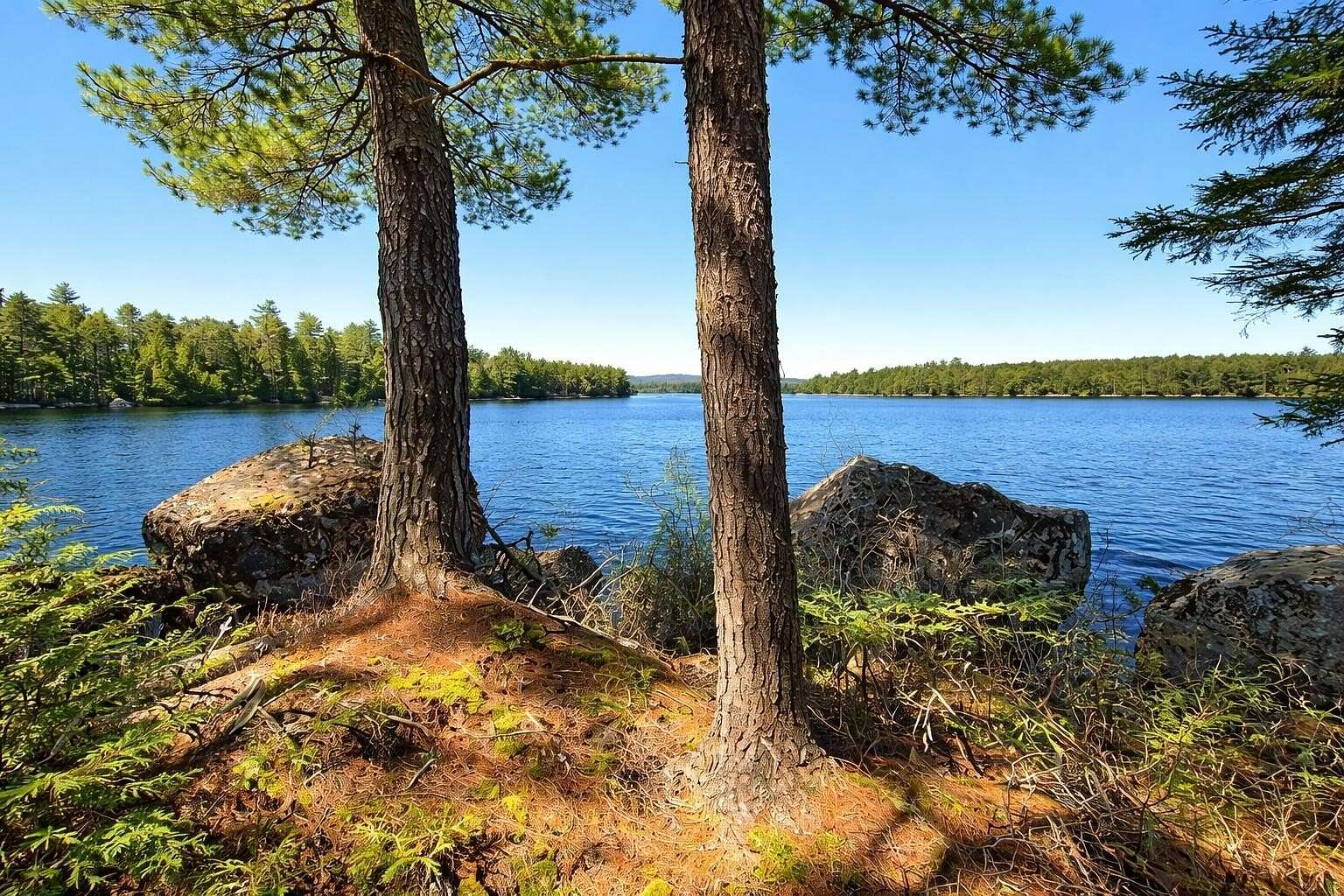 3.3 Acres of Residential Land for Sale in Lakeville Town, Maine