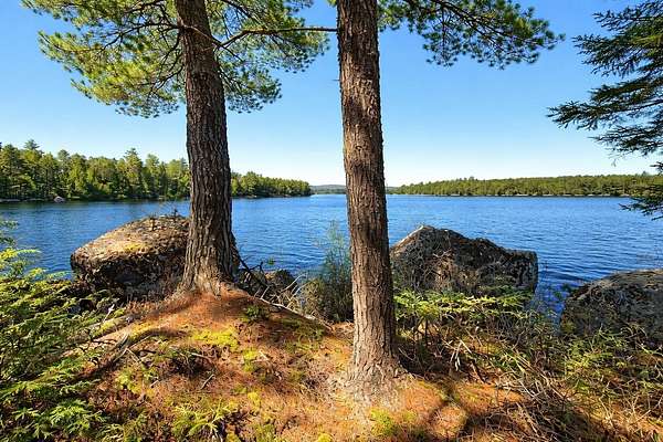 3.3 Acres of Residential Land for Sale in Lakeville Town, Maine