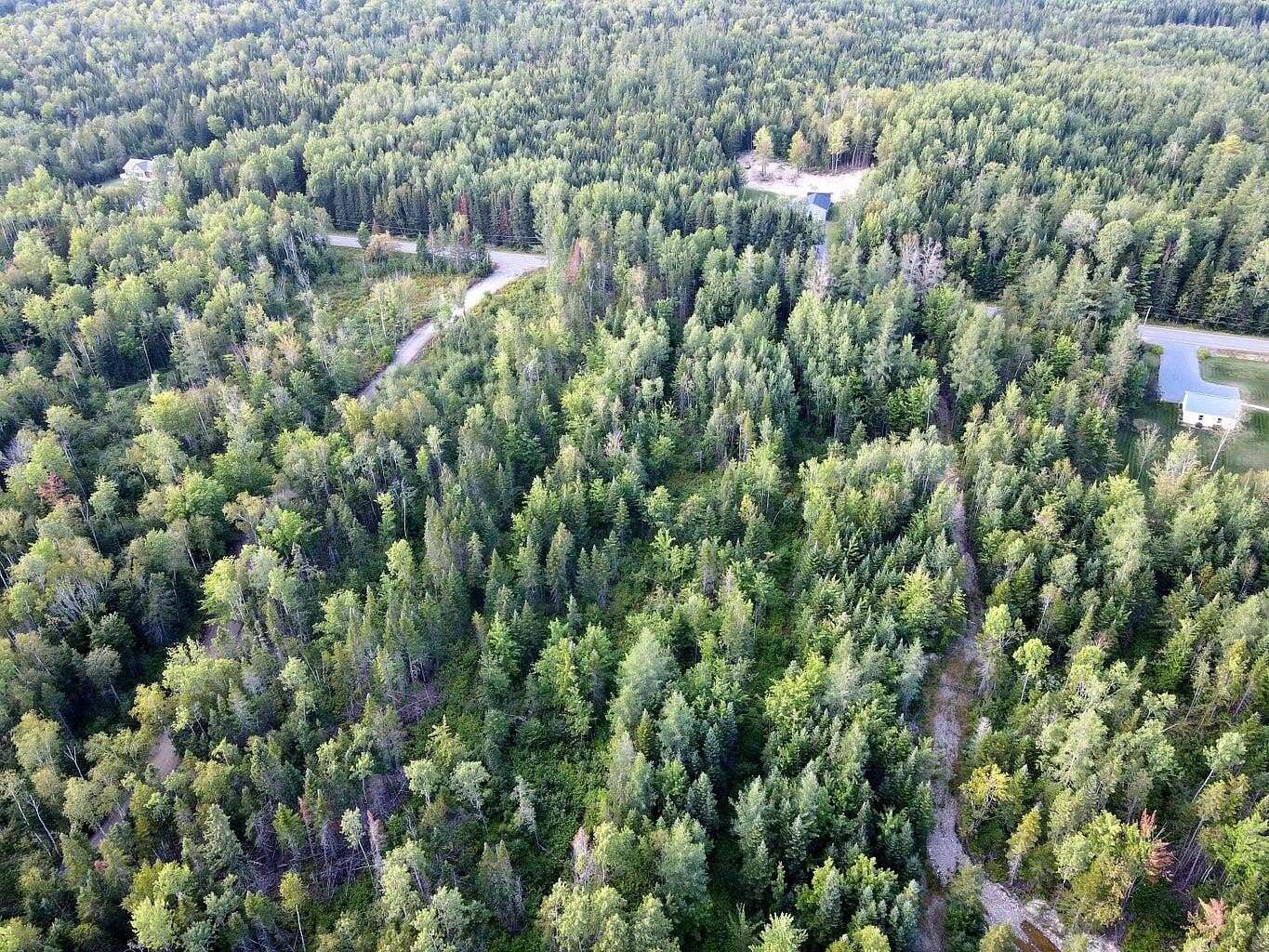 95.7 Acres of Recreational & Residential Land for Sale in Connor Township, Maine