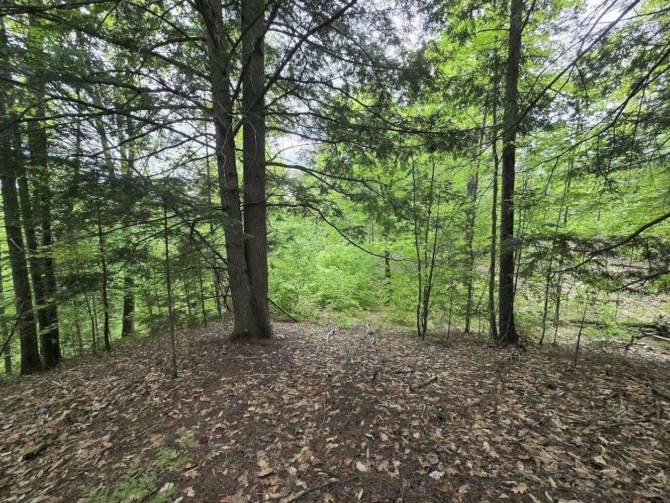 10 Acres of Recreational & Residential Land for Sale in Temple, Maine