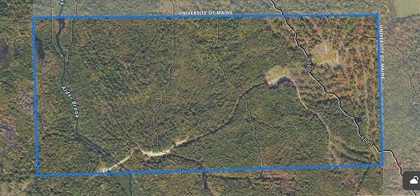 160 Acres of Recreational & Residential Land for Sale in Chapman, Maine
