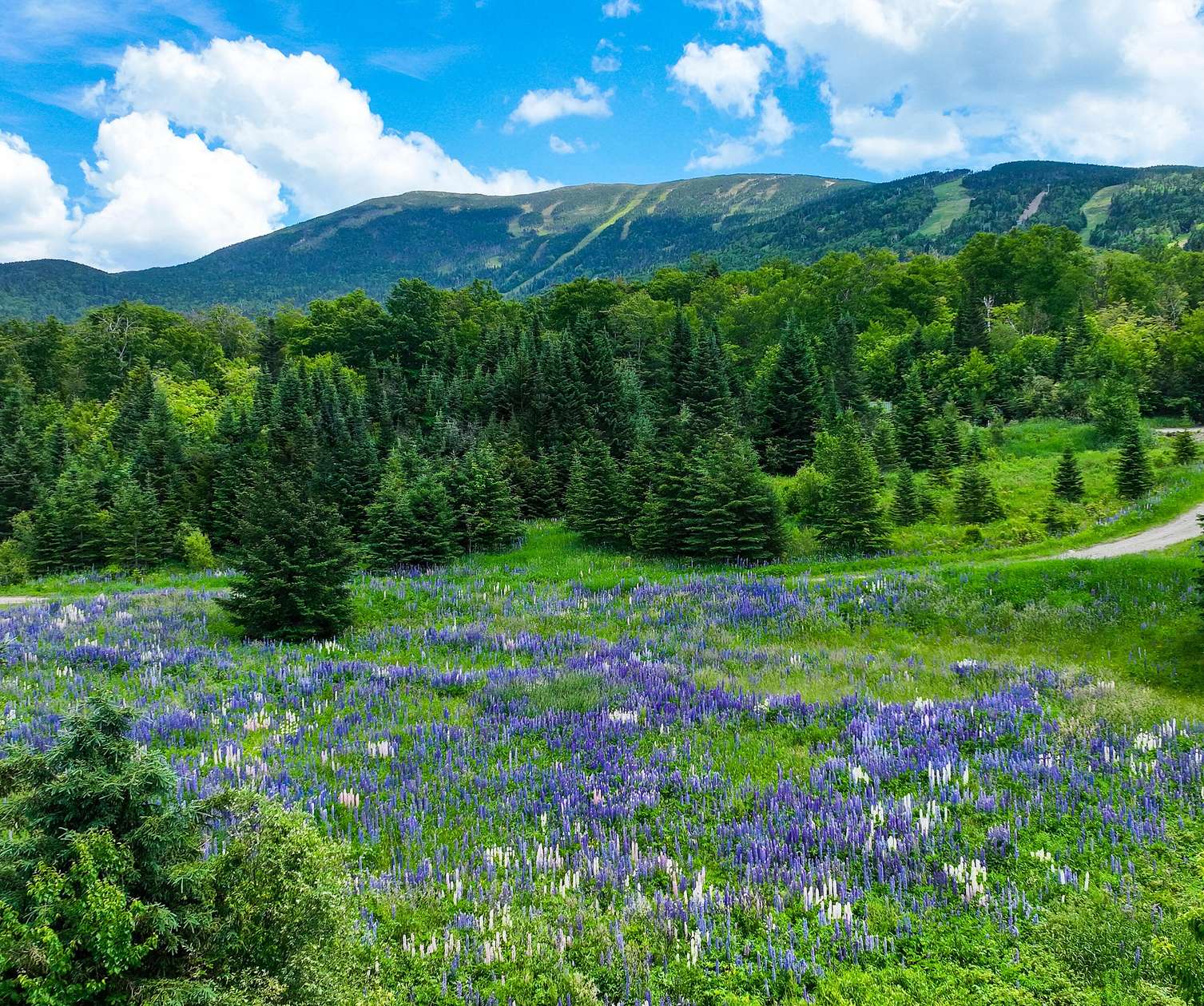 0.5 Acres of Land for Sale in Sandy River Plantation, Maine