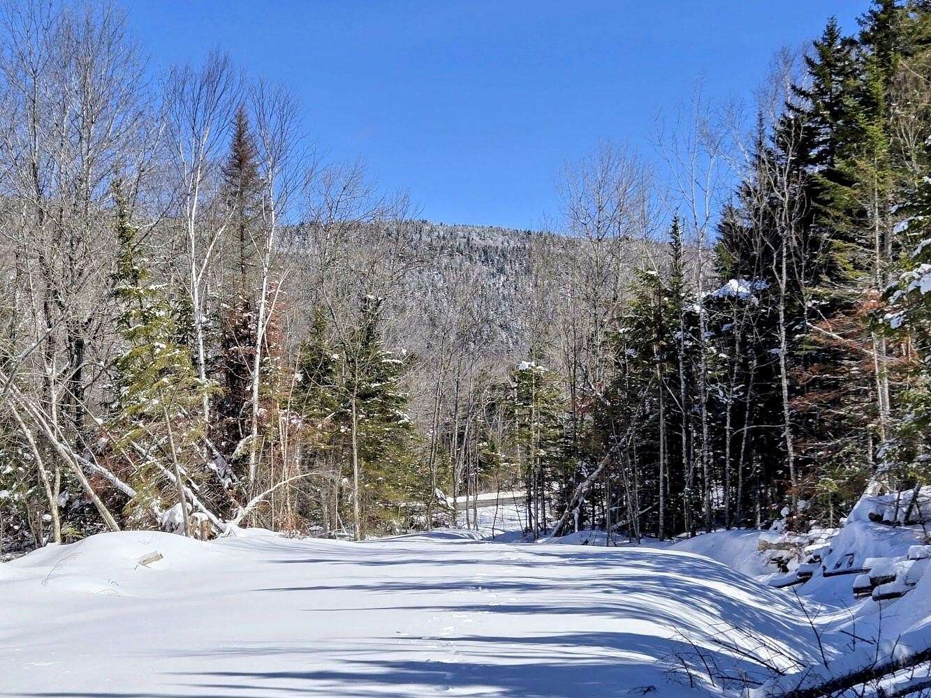 77.4 Acres of Recreational Land for Sale in Sandy River Plantation, Maine