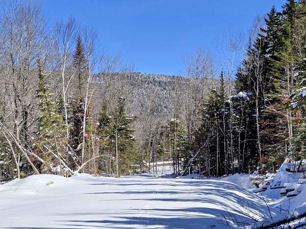 77.4 Acres of Recreational Land for Sale in Sandy River Plantation, Maine