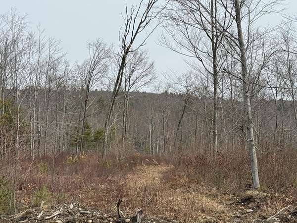 2.6 Acres of Residential Land for Sale in Waterboro, Maine