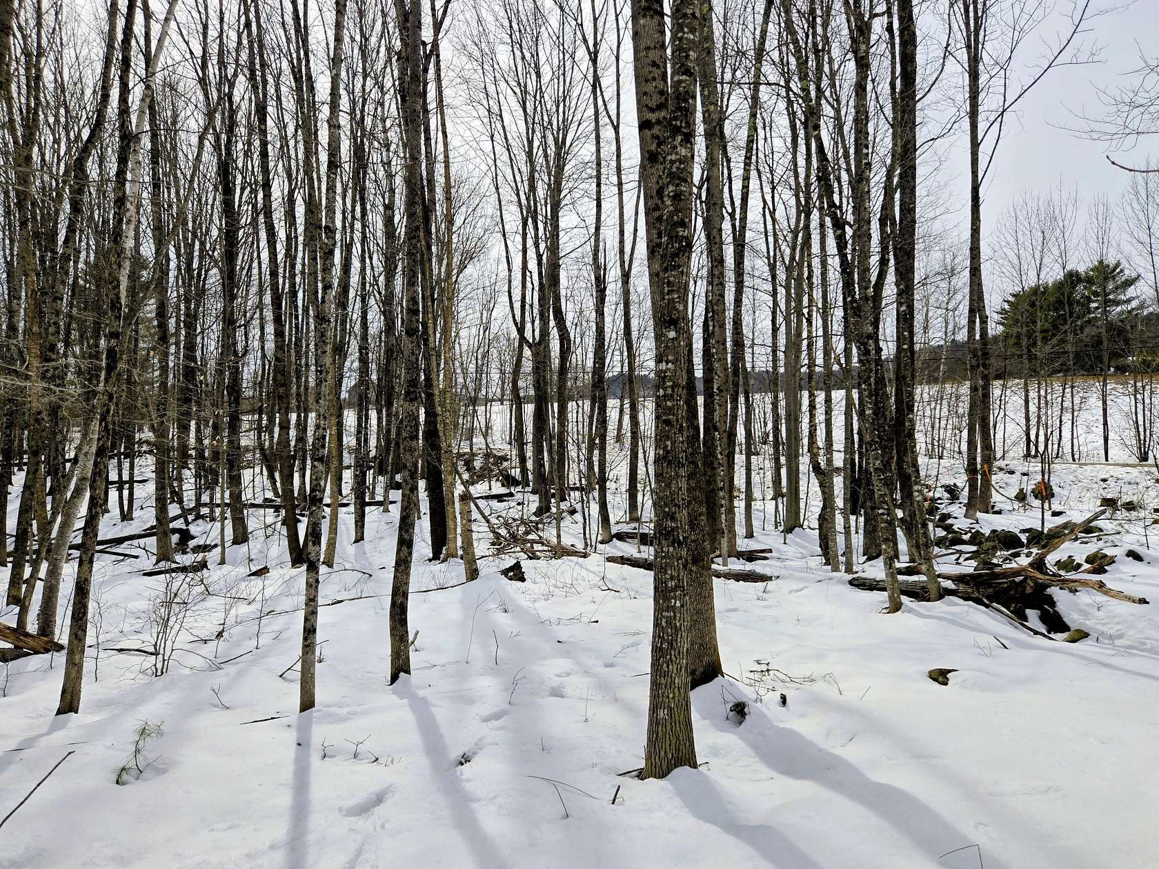 3 Acres of Residential Land for Sale in Jay, Maine