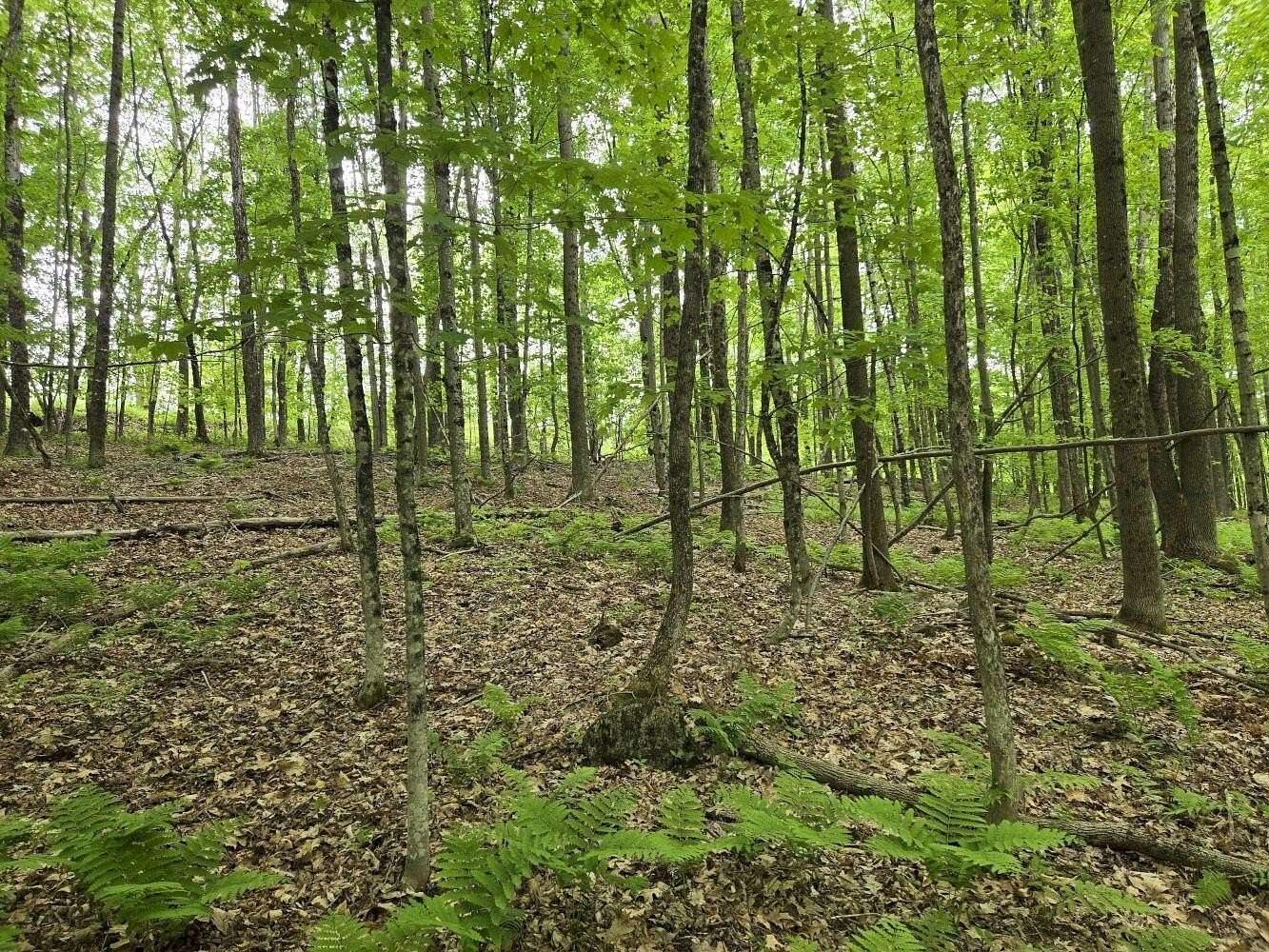 3 Acres of Residential Land for Sale in Jay, Maine
