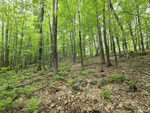 3 Acres of Residential Land for Sale in Jay, Maine