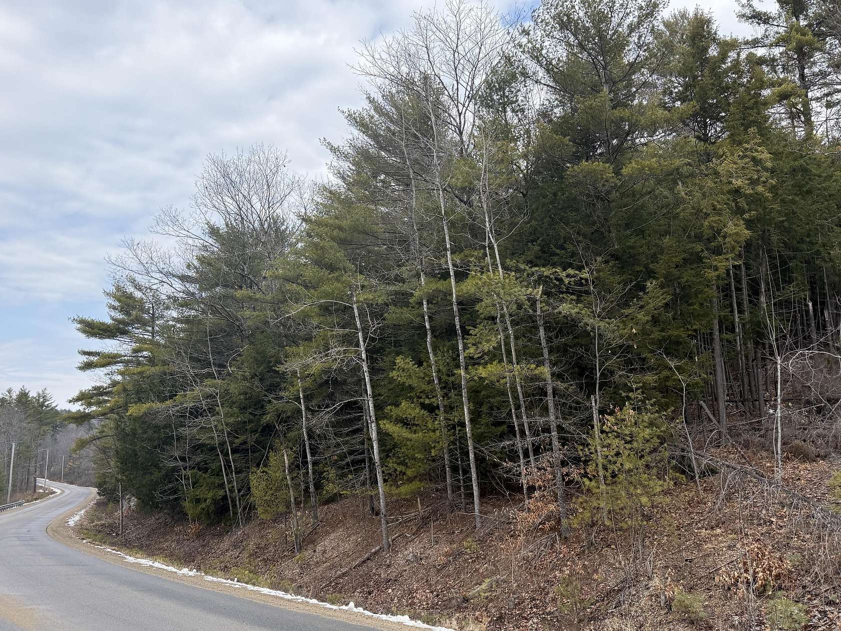 1.76 Acres of Residential Land for Sale in Newfield, Maine