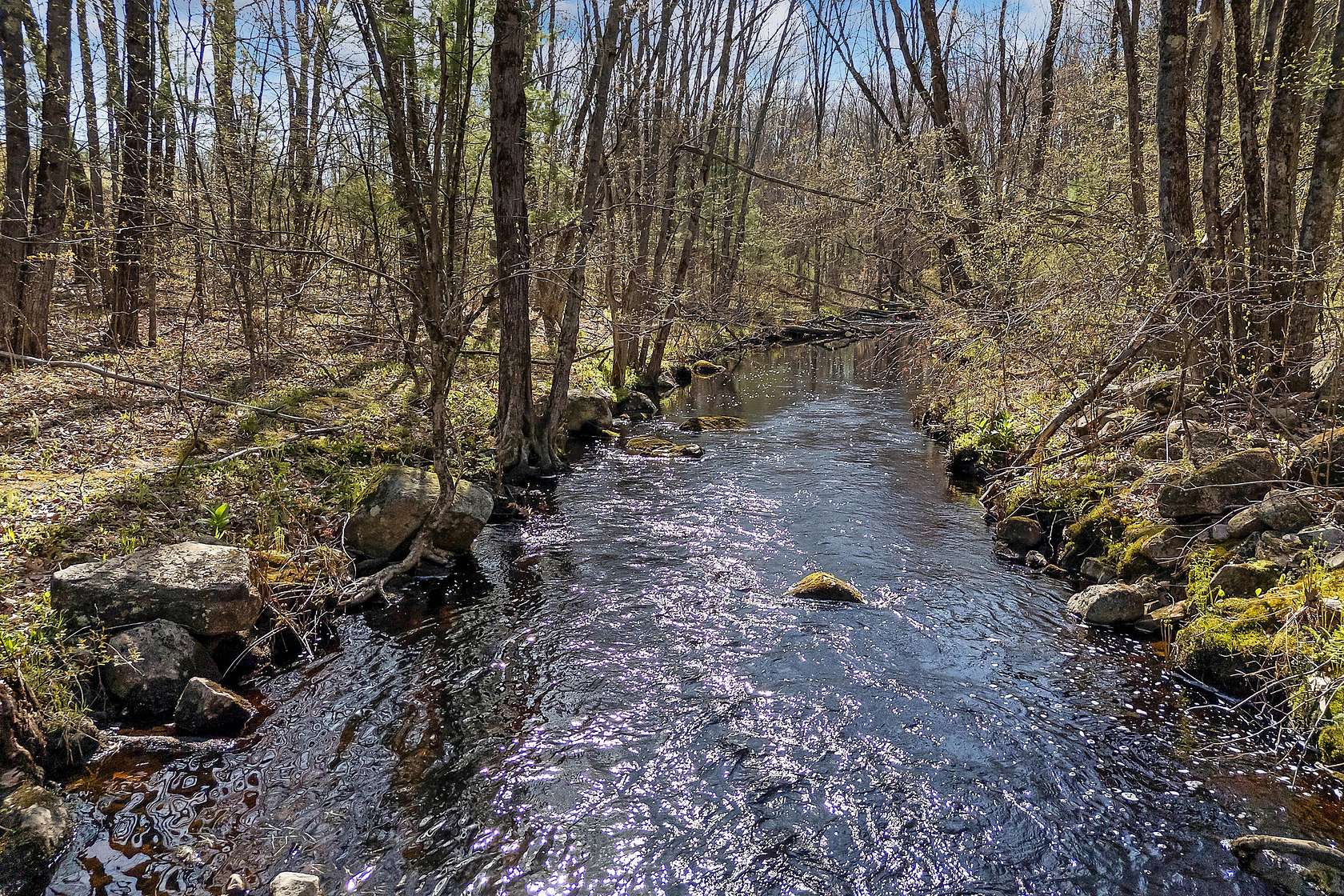11 Acres of Land for Sale in Lyman Town, Maine