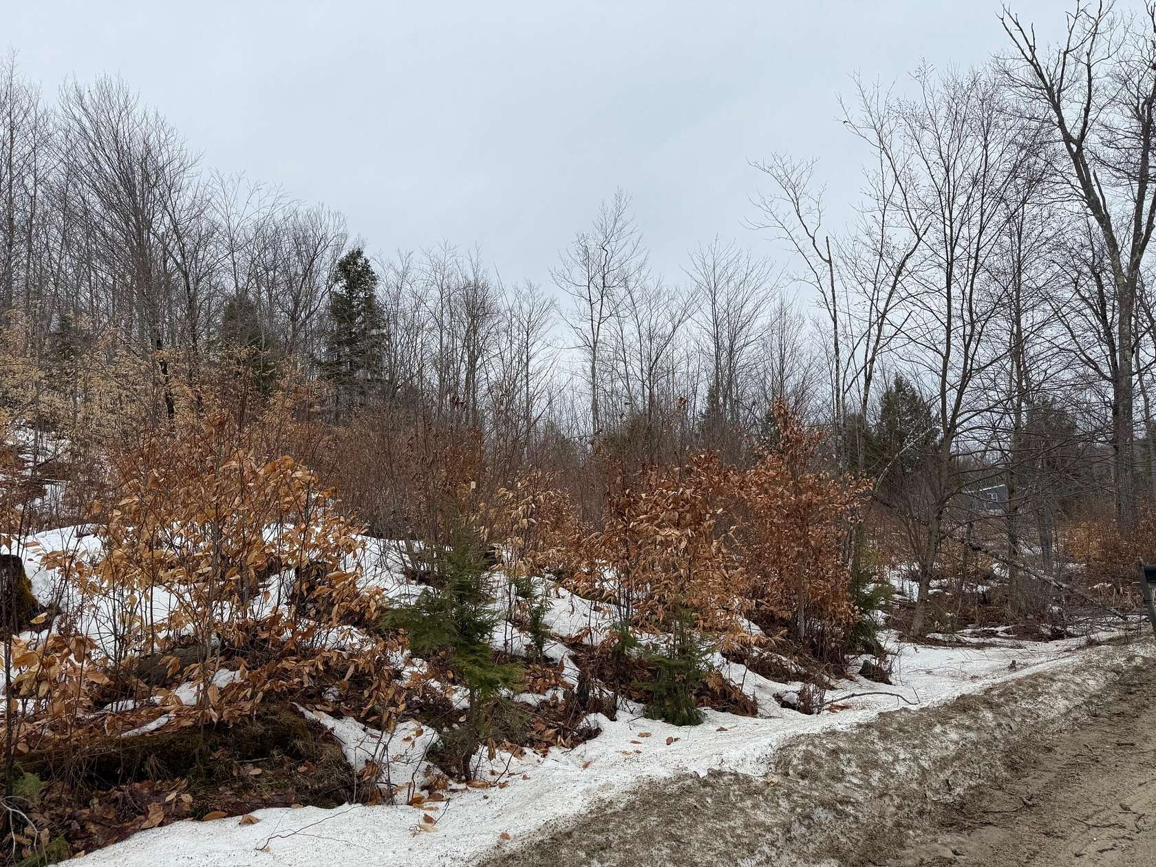 3.84 Acres of Residential Land for Sale in Buckfield, Maine