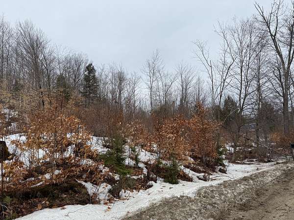 3.84 Acres of Residential Land for Sale in Buckfield, Maine