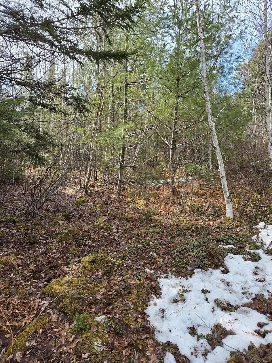 10 Acres of Recreational & Residential Land for Sale in Marshfield, Maine