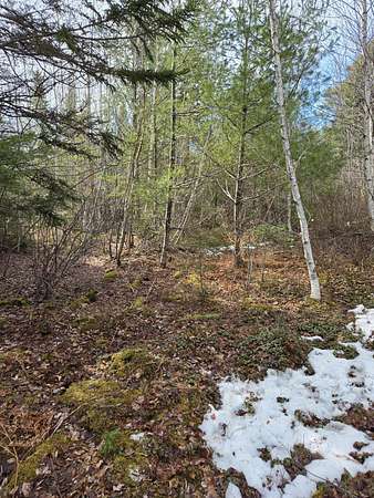 10 Acres of Recreational & Residential Land for Sale in Marshfield, Maine