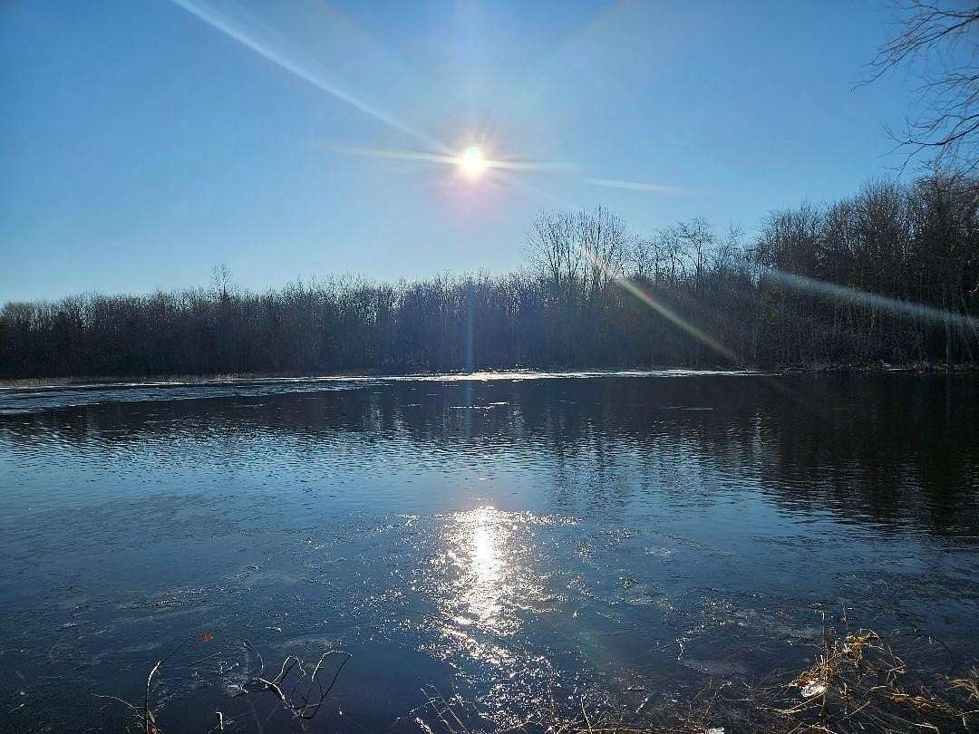 24.6 Acres of Recreational Land for Sale in Plymouth, Maine