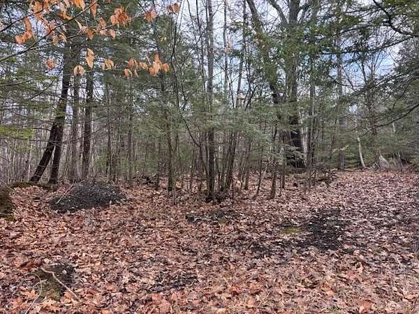 10 Acres of Residential Land for Sale in Mount Vernon, Maine
