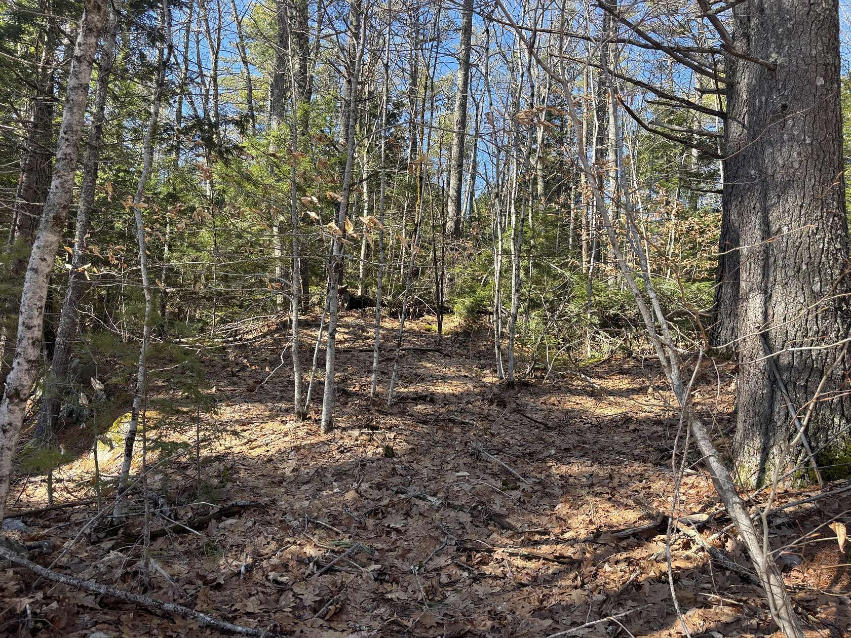 30 Acres of Recreational & Residential Land for Sale in Whitefield, Maine